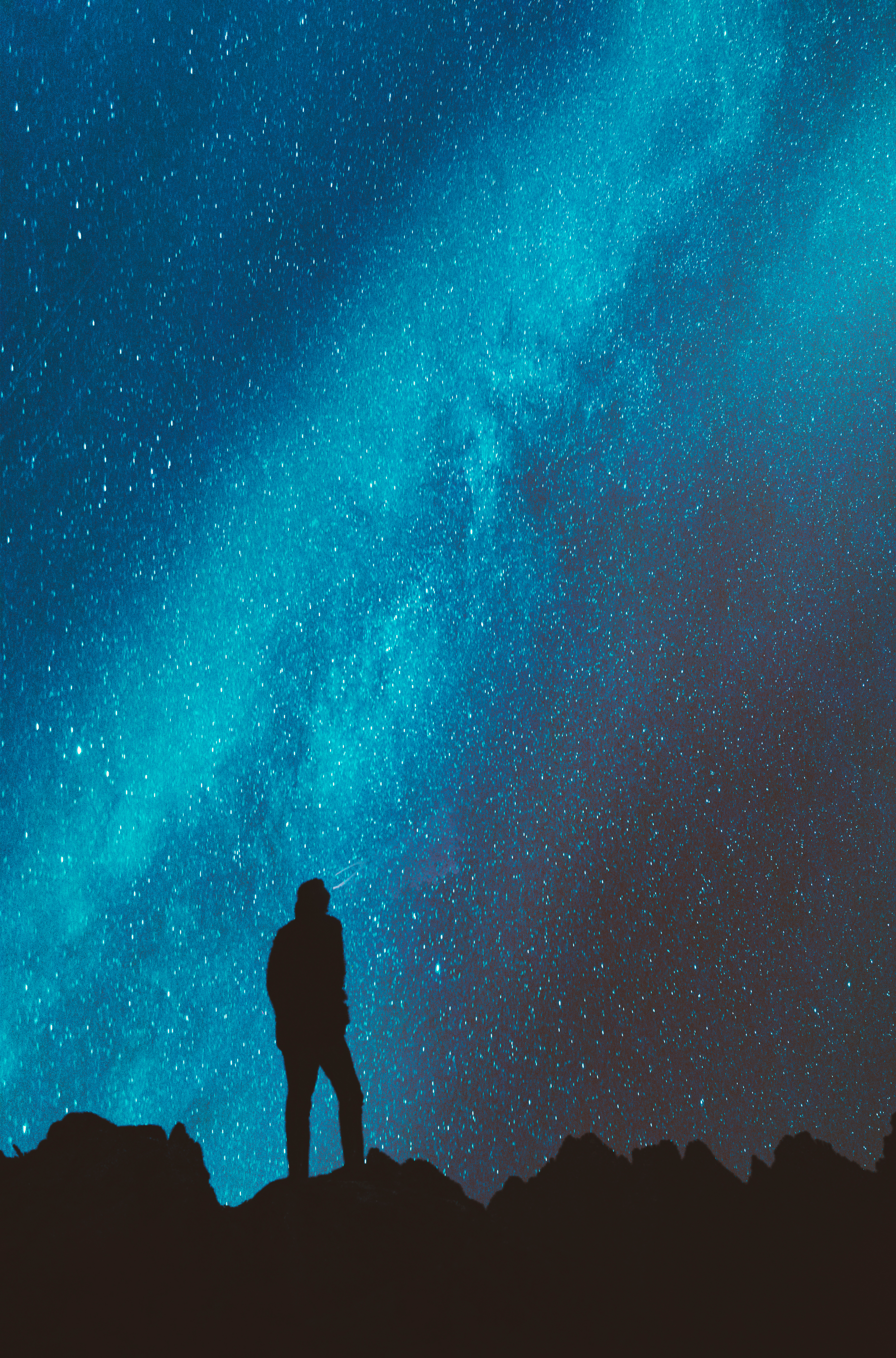 Silhouette beneath a star-filled night sky
